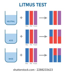 Acids cause blue litmus paper to turn red. Bases cause red litmus paper to turn  blue. Scientific vector illustration isolated on white background.
