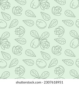 Ackee and leaves seamless pattern. Hand drawn ackee endless texture. Linear exotic fruit background. Blighia sapida sketch, Organic food. Vector illustration