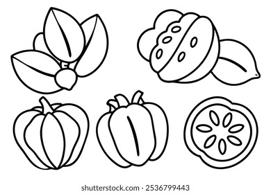 Ackee Line Art Botanical Fruit Design Concept (2)