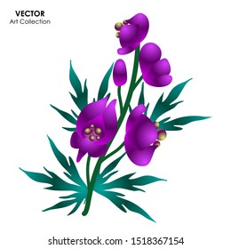 Aconitum flower isolate, Vector illustration design element