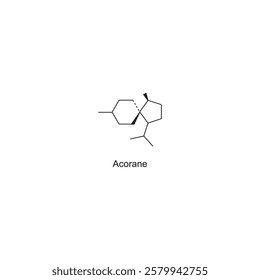 Acorane skeletal structure.Sesquiterpene compound schematic illustration. Simple diagram, chemical structure.