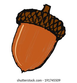 acorn
