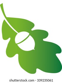 Acorn