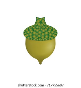 acorn
