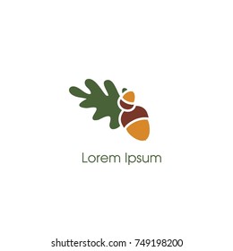 acorn
