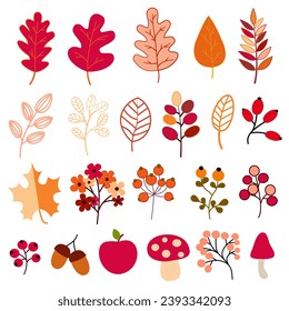 Acorn apple autumn autumn element autumn leaves autumnal berries berry flowers botany branch brown cartoon chestnut brown cartoon chestnut cloud collection colorful flowers yellow green hedgehog 