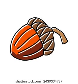 acorn autumn color icon vector. acorn autumn sign. isolated symbol illustration