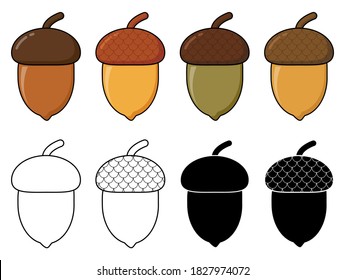 Acorn autumn drawing eps10 set. Oak nut cartoon illustration isolated on white.  Autumnal clip art with  oak tree fruits with cap. Oak acorns with shell seasonal graphic. Color, silhouette and outline