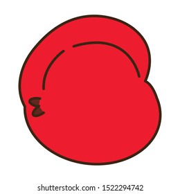 acorn autumn fruit seasonal isolated icon vector illustration design