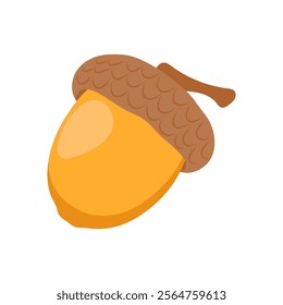 Acorn , Autumn Isolated Vector Illustration