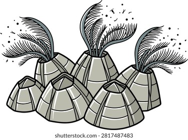Acorn Barnacle Cluster Vector Illustration Featuring Feathery Cirri Appendages Filtering Plankton From Water Column For Intertidal Marine Biology Designs.eps