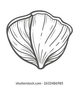 Acorn Barnacle Line Art Illustration