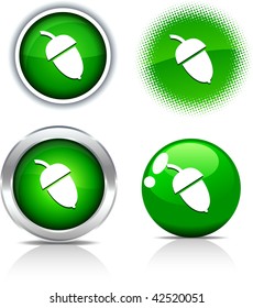   Acorn beautiful buttons. Vector illustration.