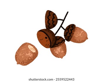 Acorn branch. Oak tree twig with oaknuts, dry caps, shells and seeds. Autumn decoration. Fall seasonal botanical design element. Forest decor. Flat vector illustration isolated on white background