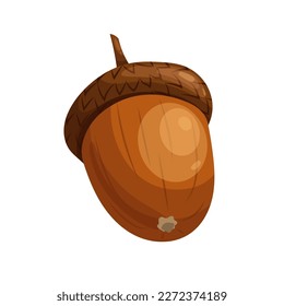 acorn brown seed cartoon. oak nut, tree nature, autumn dried, fruit season, leaf branch, object growth, acorn brown seed vector illustration
