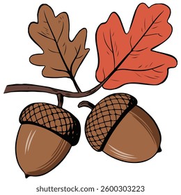 Acorn cartoon for autumn isolated vector illustration on white background