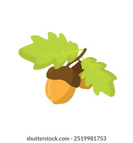 Acorn cartoon. Brown acorn cartoon. Autumn cartoon. Digital art illustration.