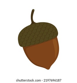 Acorn Cartoon Isolated Illustration On White Background. Vector Oak Fruit