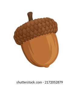Acorn cartoon isolated vector illustration on white background. Oak tree fruit. Realistic cartoon acorn illustration.