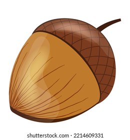 Acorn cartoon isolated vector illustration on white background. Oak tree fruit. Realistic cartoon acorn illustration with glow.