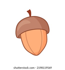 Acorn in cartoon style. Hand drawn illustration. Vector art isolated on white background.