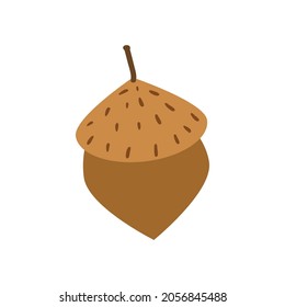 Acorn. Cartoon vector illustration in flat style isolated on white background.