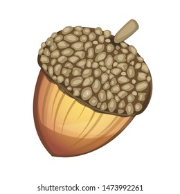 Acorn. Cartoon vector illustration. Isolated on white background.EPS 10