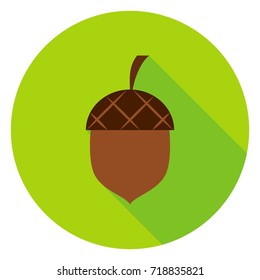 Acorn Circle Icon. Vector Illustration. Nature Object.