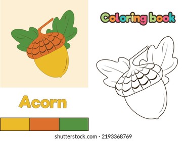 Acorn Coloring Book. Vector illustration of the outline of an acorn and leaves for children to color. Finished coloring book with yellow acorn.