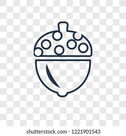 Acorn concept vector linear icon isolated on transparent background, Acorn concept transparency concept in outline style