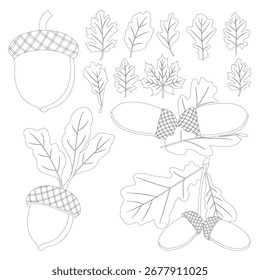 Acorn Diferentes Estilos Contorno Ícones De Vetor E Design Gráfico