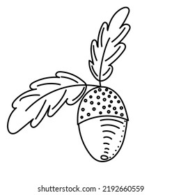 Acorn Doodle Drawing, Isolated, Vector