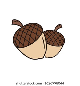 Acorn doodle hand drawn vector