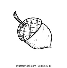 Acorn Doodle Hand Drawn Vector Doodle Stock Vector (royalty Free 