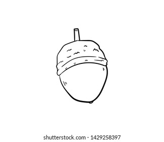 acorn doodle icon vector hand drawing