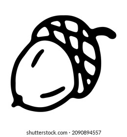 Acorn in doodle style. Isolated vector.