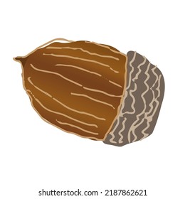 Acorn in doodle style on white background. Flat vector illustration. Symbol, logo illustration. Vector icon.