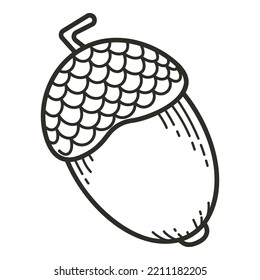 Acorn Doodle Vector Illustration. Acorn Engraving Simple Element.