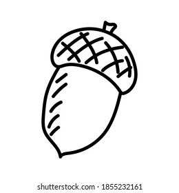 Acorn. Doodle vector illustration. Single hand drawn element isolated on white background. For greeting cards, posters, stickers and seasonal designs.