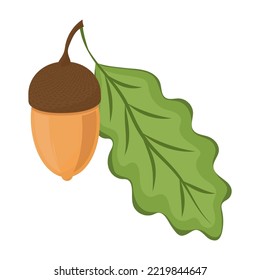 Acorn drawing on white background, vector illustration