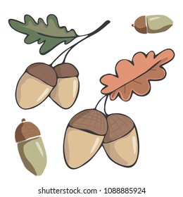 Acorn figure clip art illustration leaf drawing color element vector wood forest fruit of oak green red orange one two acorns similar white background
