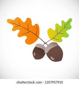 Acorn flat design style icon with gradient effect, autumn oak leaves and nuts isolated on white background vector illustration. Autumn holidays symbols.