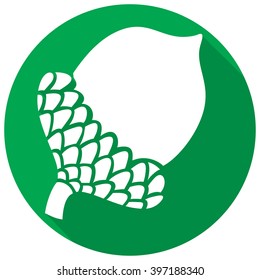 acorn flat icon