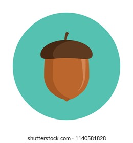 Acorn flat icon isolated on blue background. Simple acorn sign symbol in flat style. Autumn element Vector illustration for web and mobile design.