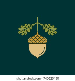 Acorn flat vector icon of logo. Vector illustration of an acorn