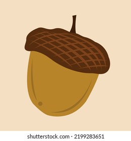 Acorn flat vector illustration. Cute acorn simple cartoon vector illustration for graphic design and decorative element