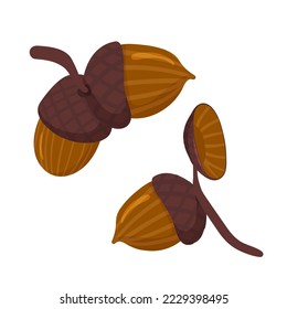 Acorn the fruit of the oak tree, a smooth oval nut in a rough cup shaped base. Cartoon vector illustration.