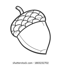 Acorn Fruit Traditional Doodle. Icons Sketch Hand Made. Design Vector Line Art.