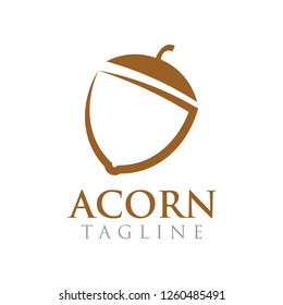 The acorn graphic design template vector illustration