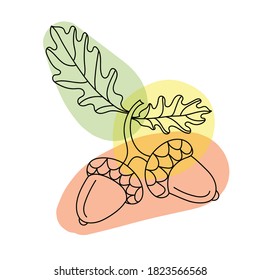Acorn in a hand drawn linear style on white background.